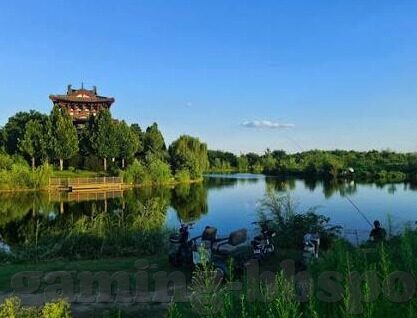 mk mksport体育官网入口-MK官网，体育的球场与市场交汇点