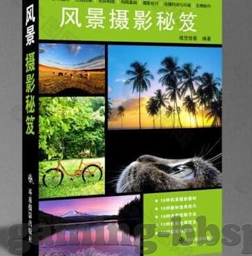 世界杯半决赛-世界杯半决赛，激情与梦想的碰撞
